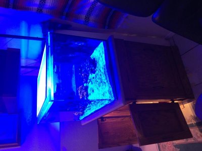 IMG_1135.jpg