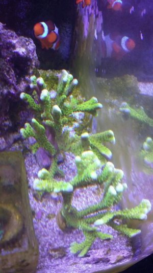 20181127_155230-01.jpg