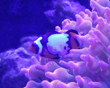0902182027 - Edited.jpg