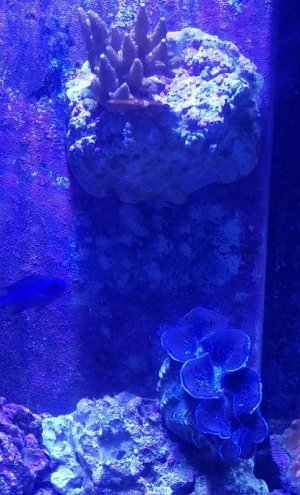 20180911_190402.jpg