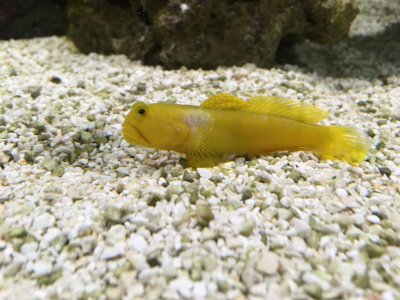 IMG_1118.jpg