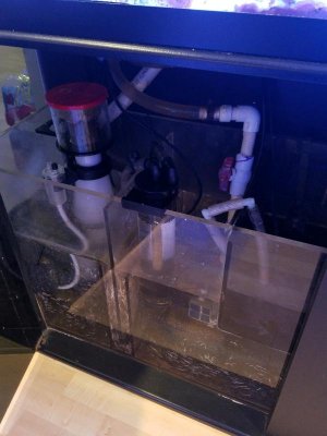 20180912_193444.jpg
