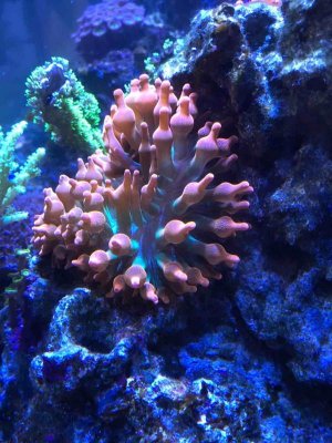 IMG_0579.jpg