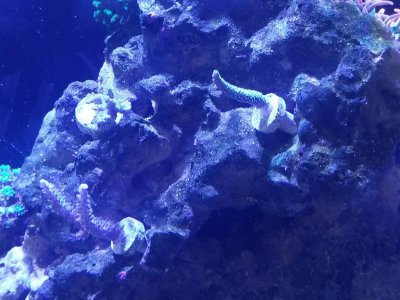 Resized_20180916_150058(1)001.jpg