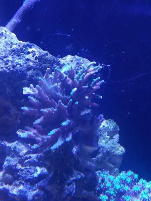 Resized_20180916_150116.jpg