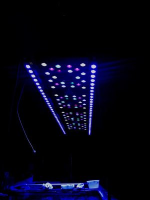 173F4D0B-CBE4-4B0A-A5E1-64CE4D6905A1.jpg