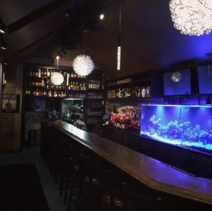 fishtank2.jpg