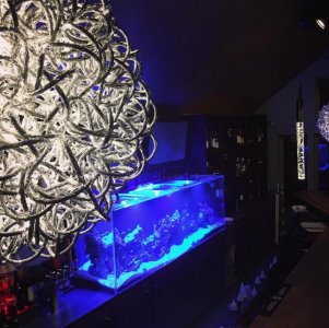 fishtank3.jpg