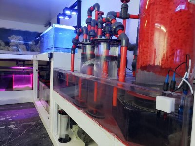 20181127_210318-min.jpg