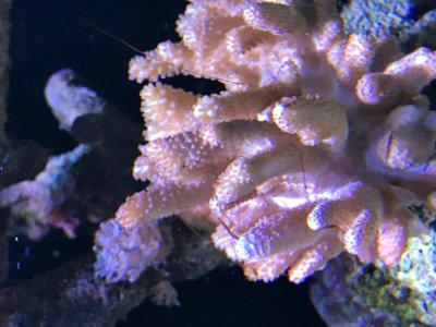 IMG_1067.jpg