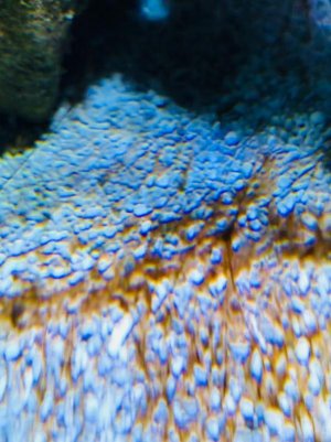 IMG_1066.jpg