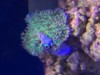 IMG_3596.jpg
