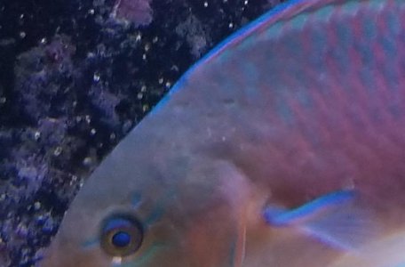 20181212_135124.jpg