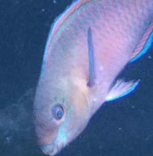 20181212_134911.jpg