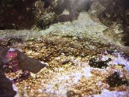 IMG_1827 (1).jpg IMG_1827 (1).jpg