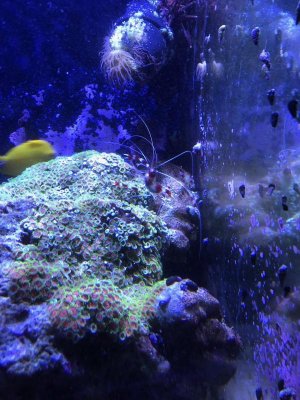 IMG_1888.jpg