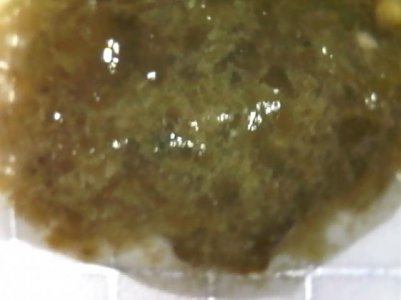 S20190120_0002.jpg