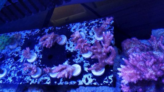 20181219_142752.jpg