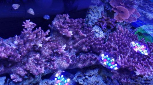 20181219_142811.jpg