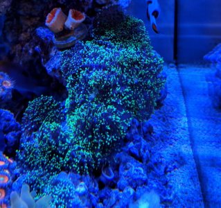IMG_20181221_125900.jpg