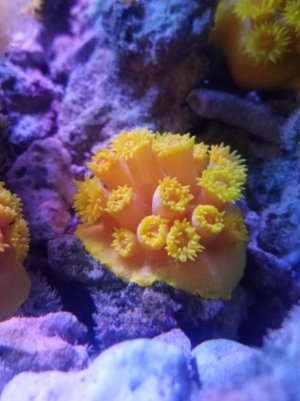 20190101_235247.jpg