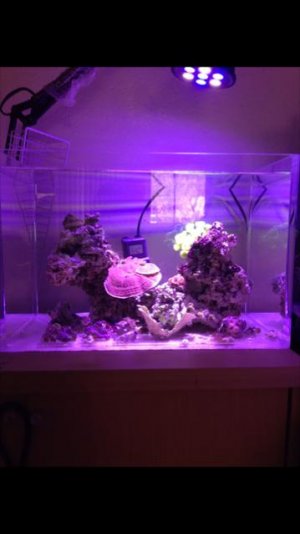 tank6.jpg