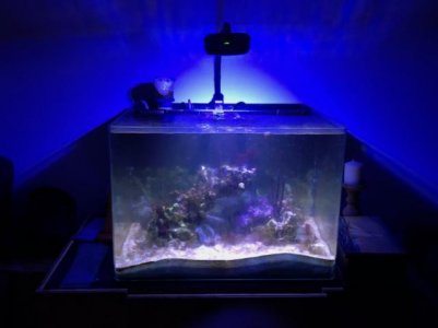 FTS.jpg