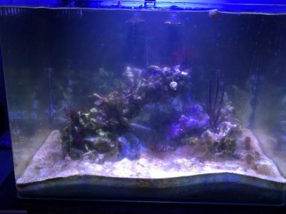 FTS Close.jpg