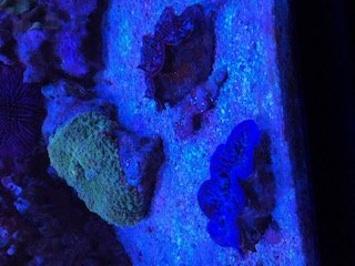 10CB042F-D89A-40ED-9E77-0CFC9EC663E0.jpeg