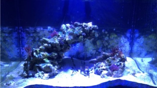 FTS.jpg