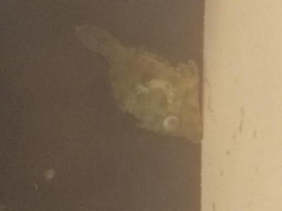 20190114_212502.jpg