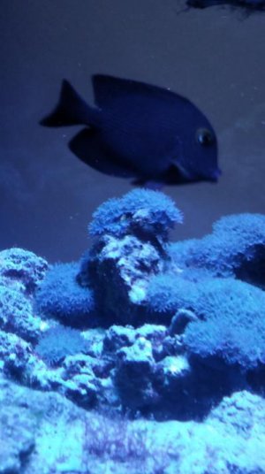 2019-02-10 15.15.41_1549833397323_resized.jpg