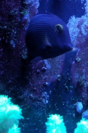 2019-02-10 15.14.11_1549833408052_resized.jpg