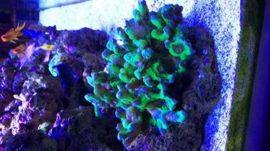 317F4179-9261-4876-BD38-8C41B28FC08B.jpg