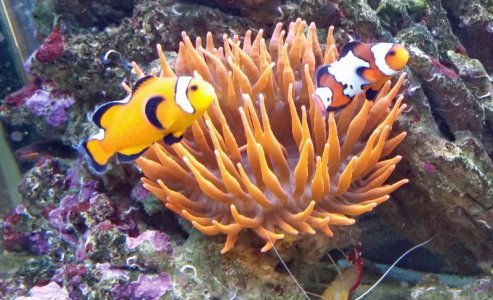 A 2-9-19 phone shots 078 - Copy.jpg