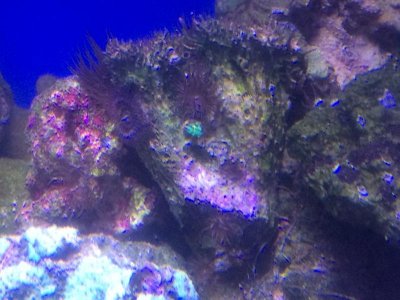 IMG_0840.jpg