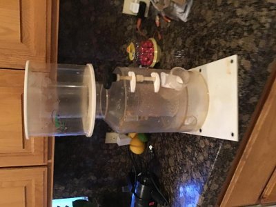 1C4E7BD4-87EC-41D4-84C8-38974EA11F2E.jpg