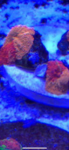 2019-06-25.jpeg