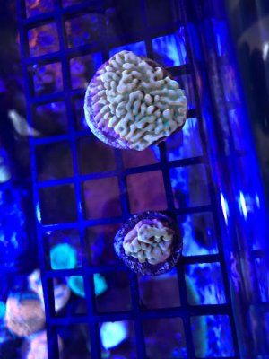 2019-06-25-2.jpeg