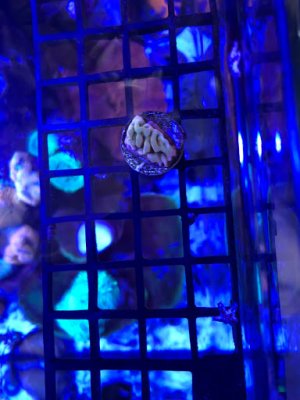 2019-06-25-1.jpeg