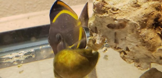 20190224_084518.jpg