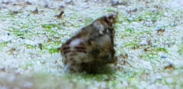 20190225_073841.jpg