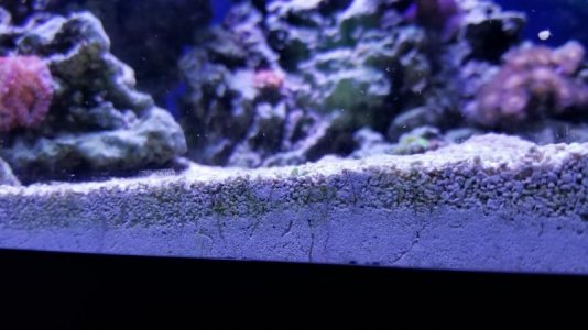 20171207_100331.jpg