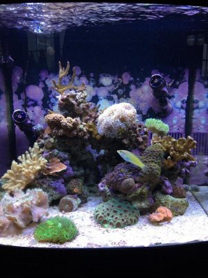 tank 2 2019.jpg