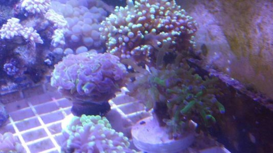 IMG_20181223_130853.jpg
