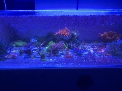IMG_2931 (Small).jpeg