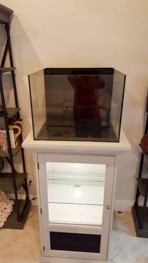 tank 1.jpg
