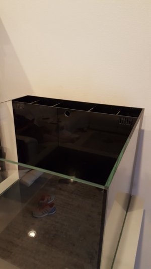 tank 1-4.jpg