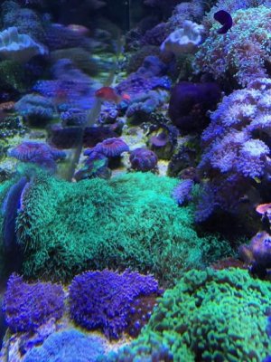 IMG_4477.jpg