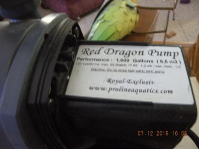 DSCN3910.jpg